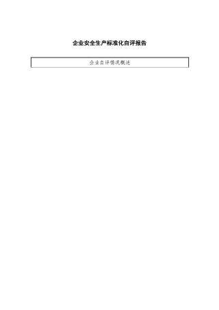 企业安全生产标准化自评报告