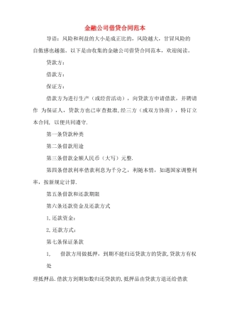 金融公司借贷合同范本