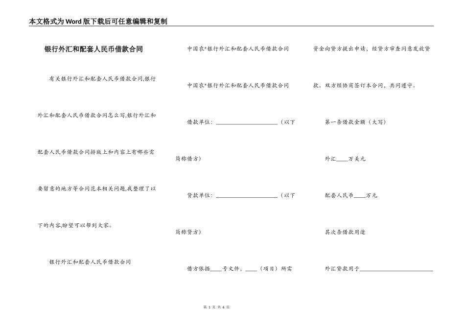 银行外汇和配套人民币借款合同_第1页