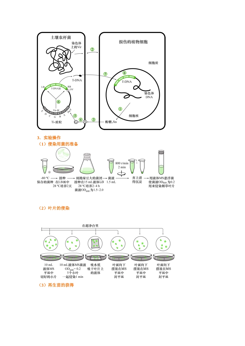 生物技术实验技能训练课_第3页