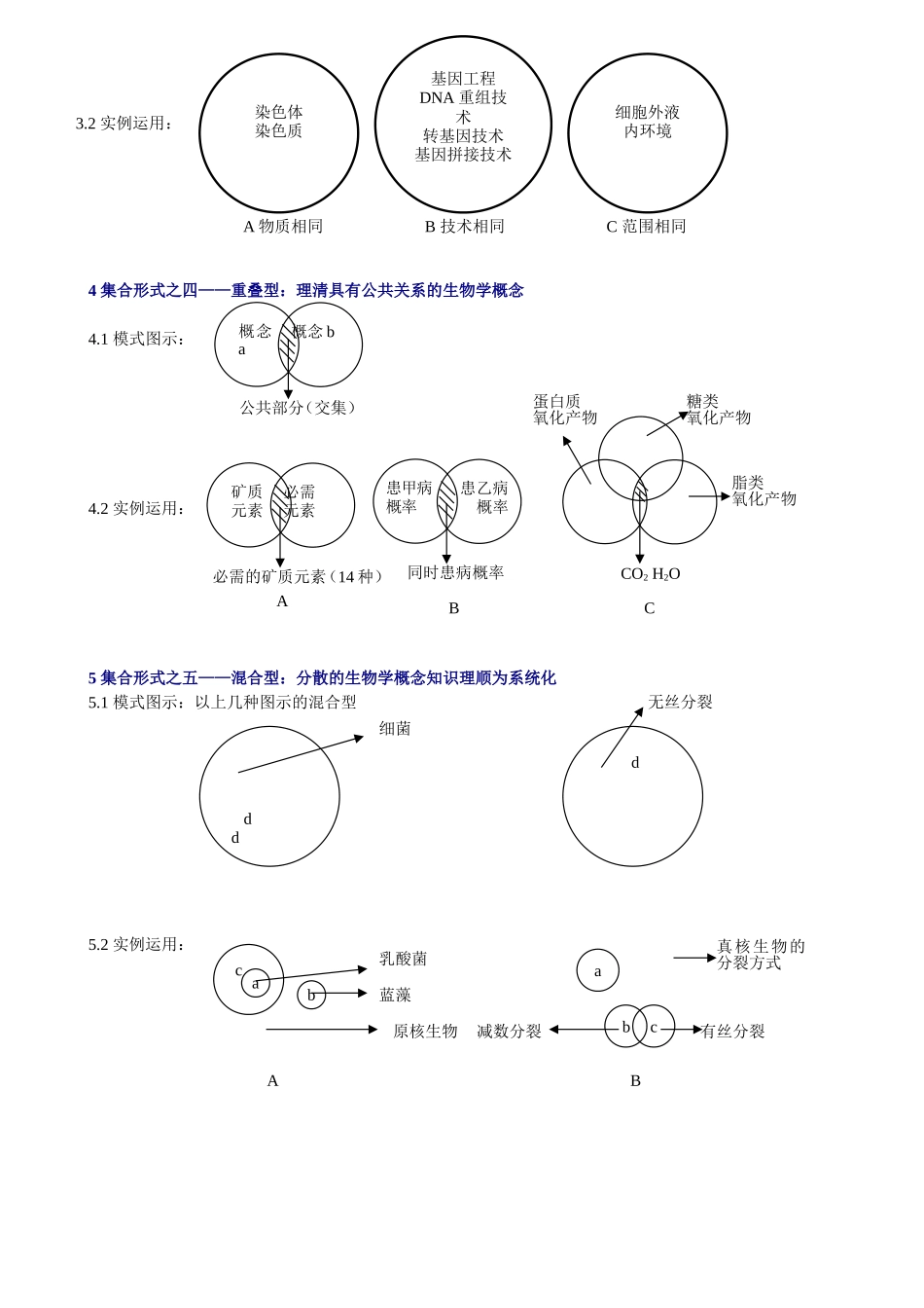 生物图表题之概念图（关系图）_第2页