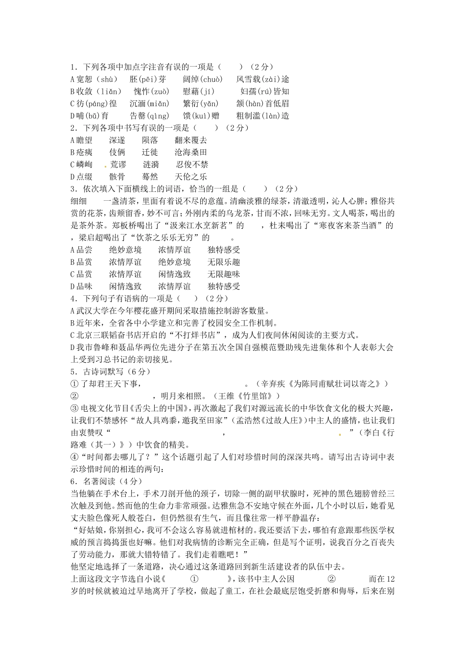 全国各地中考语文试题分类整理：积累运用_第3页