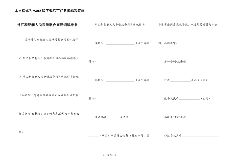 外汇和配套人民币借款合同详细版样书_第1页