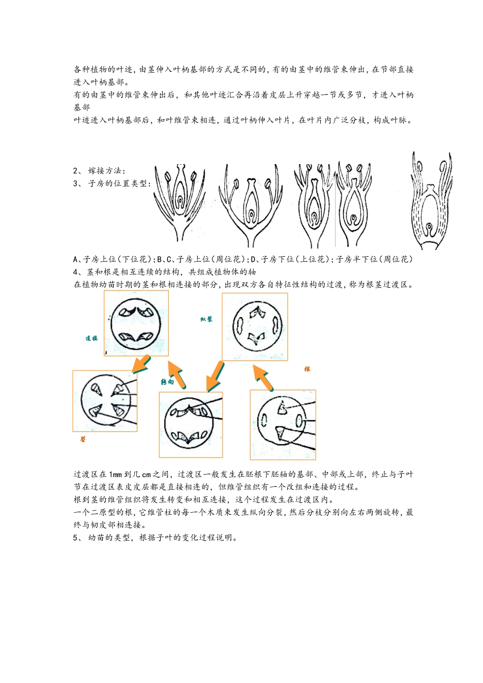 生物种课程知识点梳理汇总_第3页