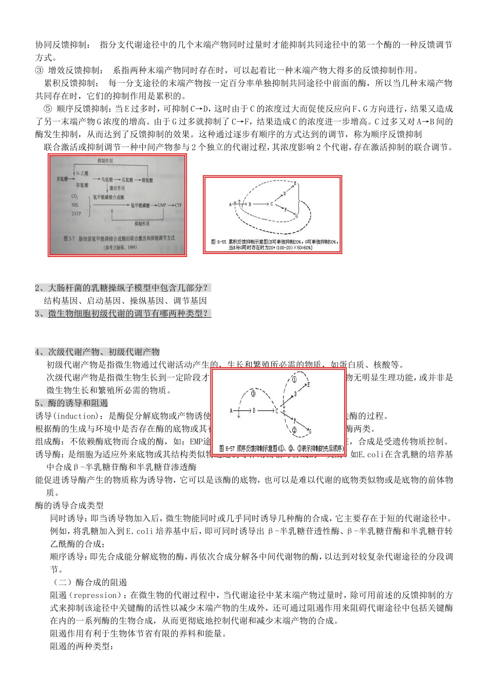 微生物菌类知识点梳理汇总_第2页