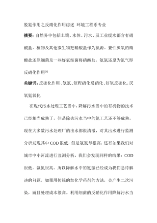脱氮作用之反硝化作用综述  环境工程系专业