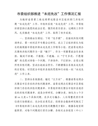 市委组织部推进“未巡先改”工作情况汇报