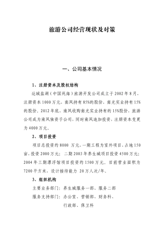 旅游公司经营现状及对策