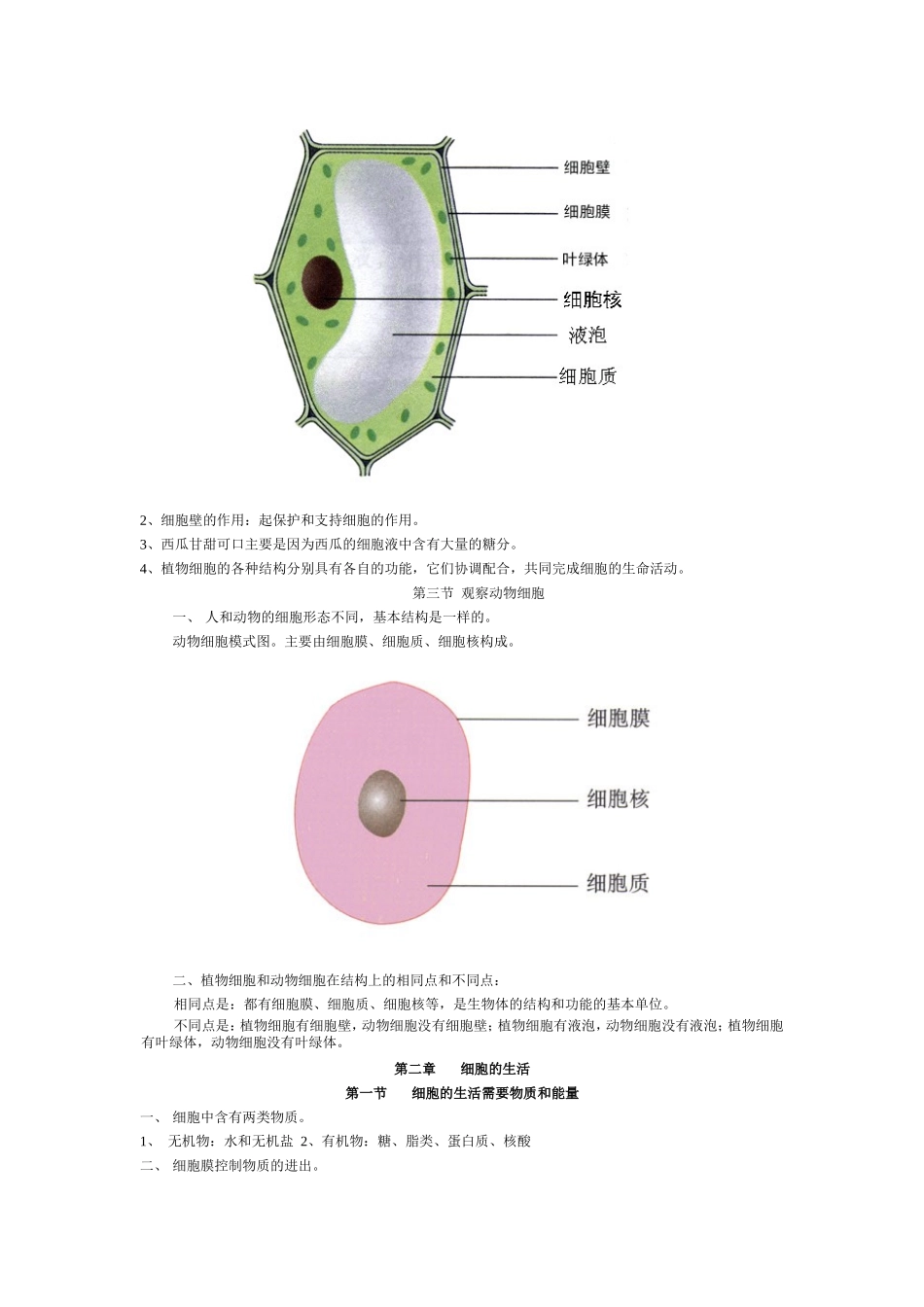 七年级上册初中生物复习提纲知识点梳理汇总_第3页