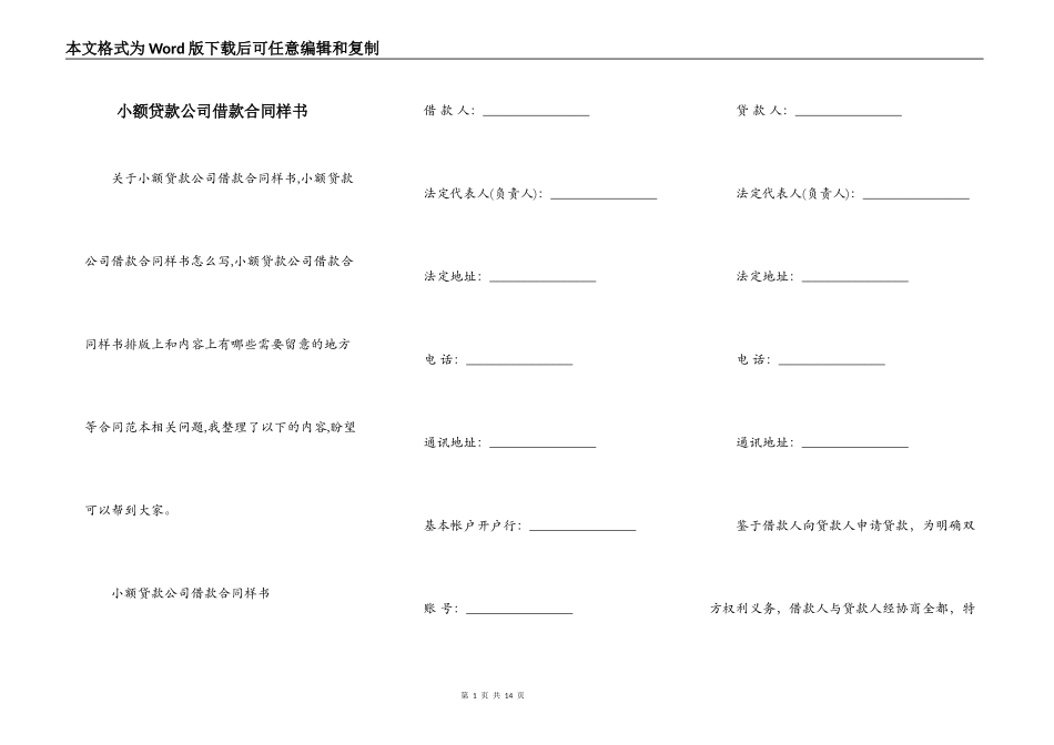 小额贷款公司借款合同样书_第1页