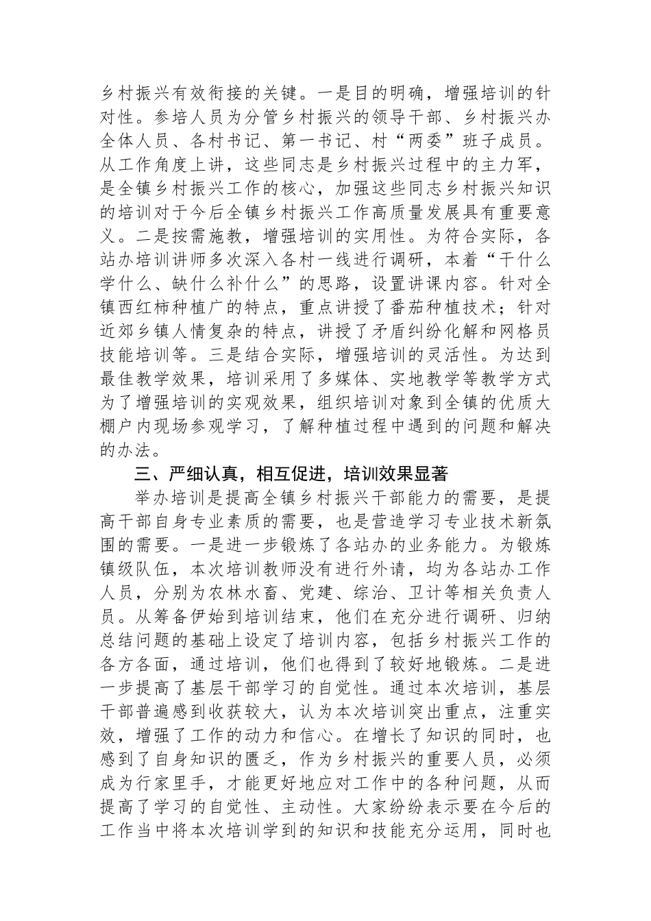 乡村振兴培训总结_第2页