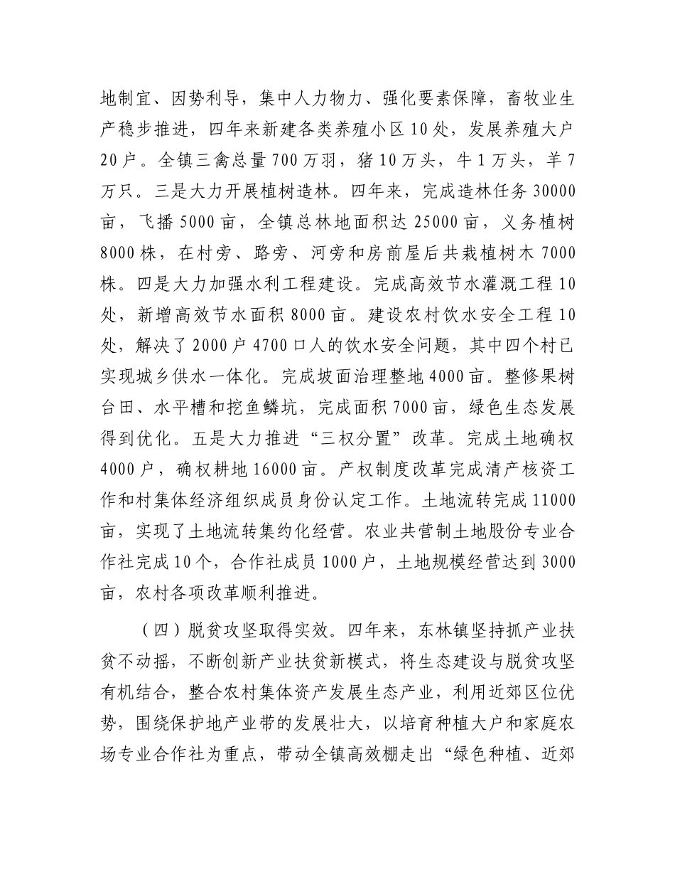 乡镇政府工作报告总结_第3页