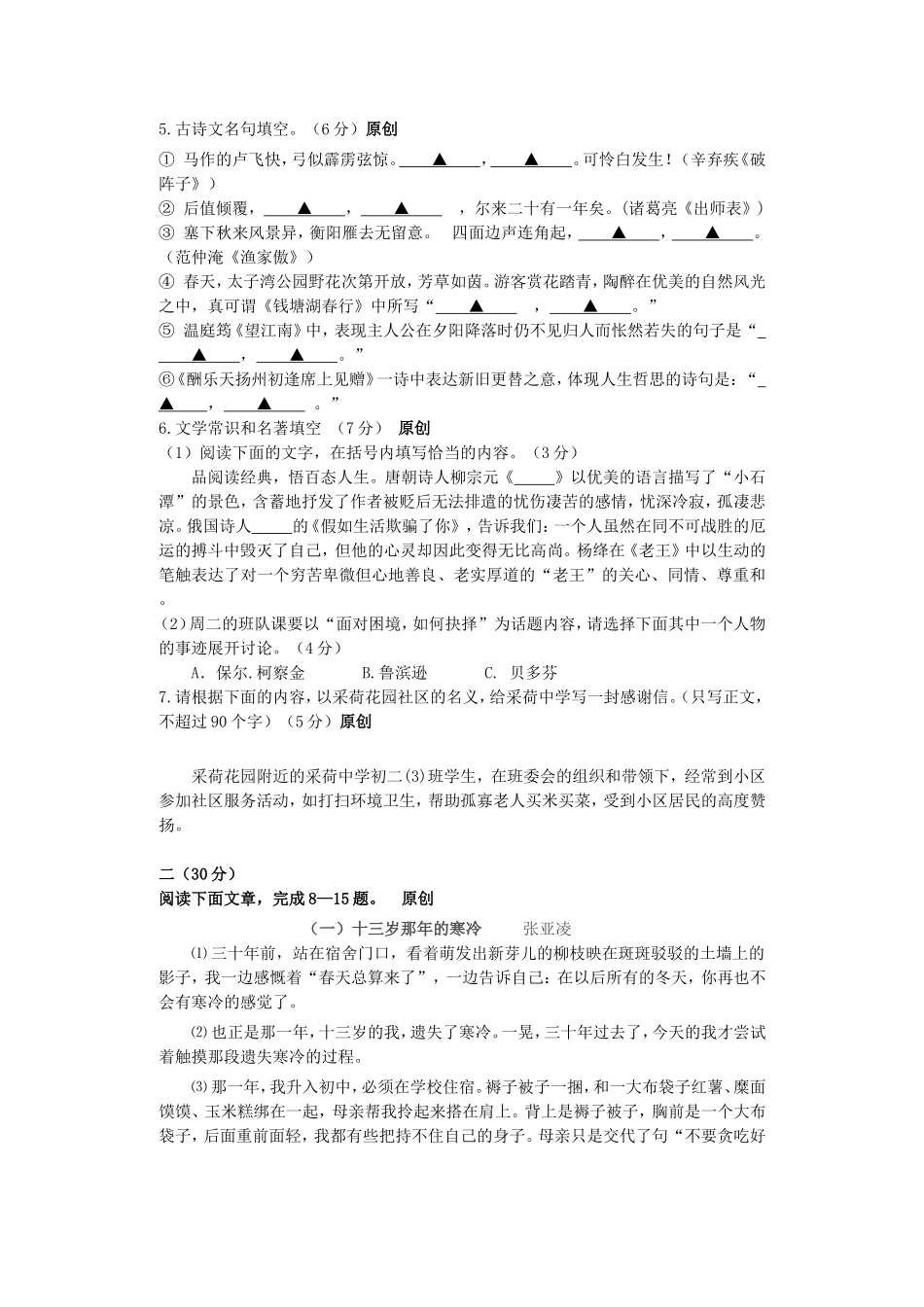 2024年中考模拟试卷语文卷_第2页