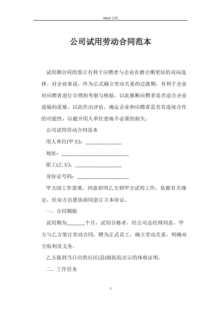 公司试用劳动合同