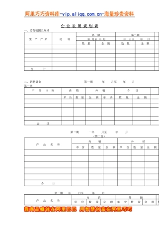企业发展规划表
