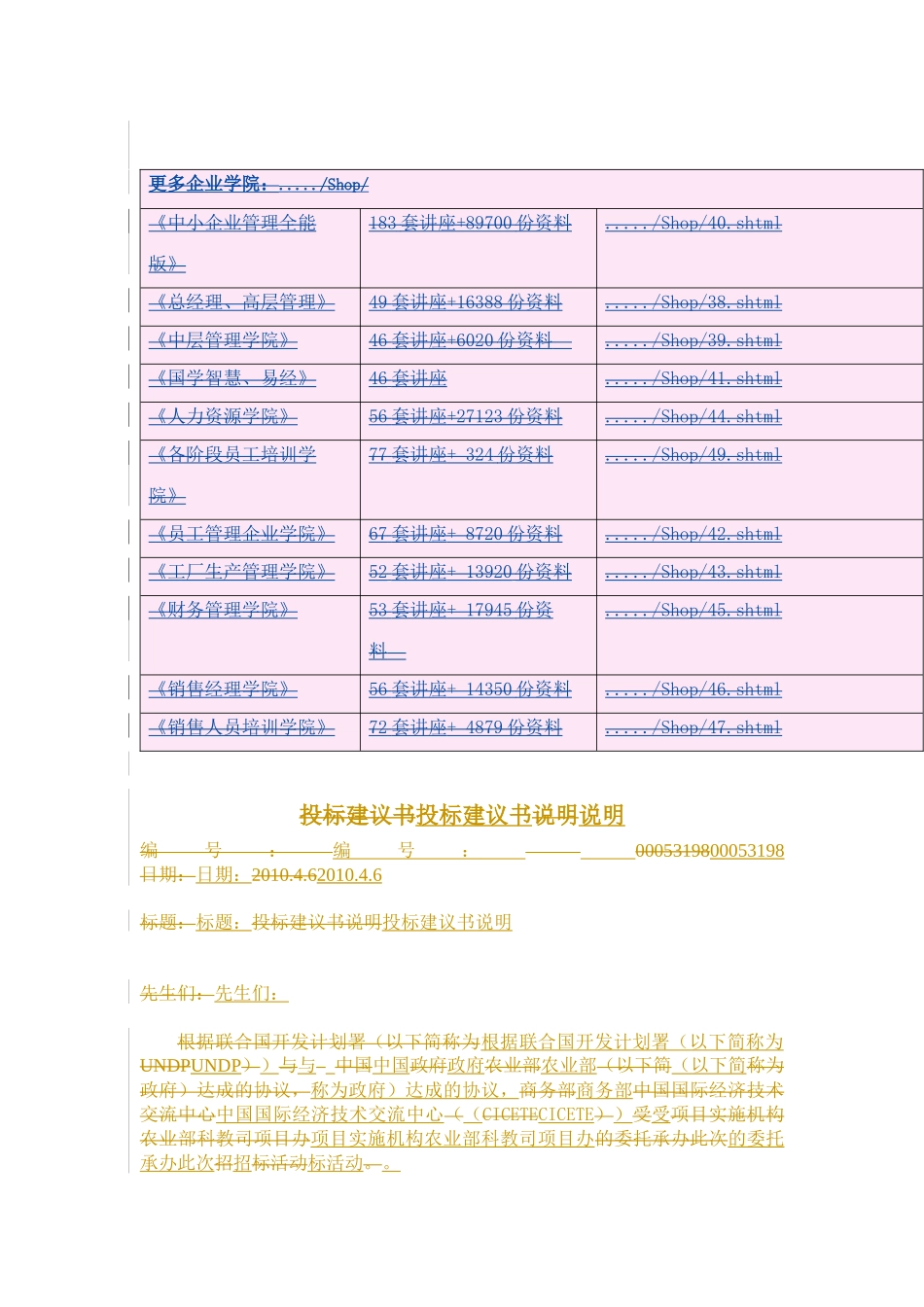 企业投标建议书说明_第2页