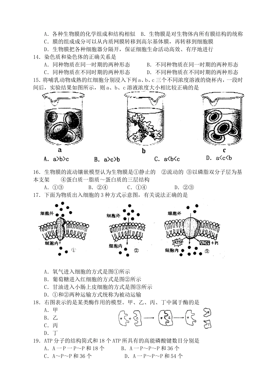 高一年级生物第一学期期末测试_第2页
