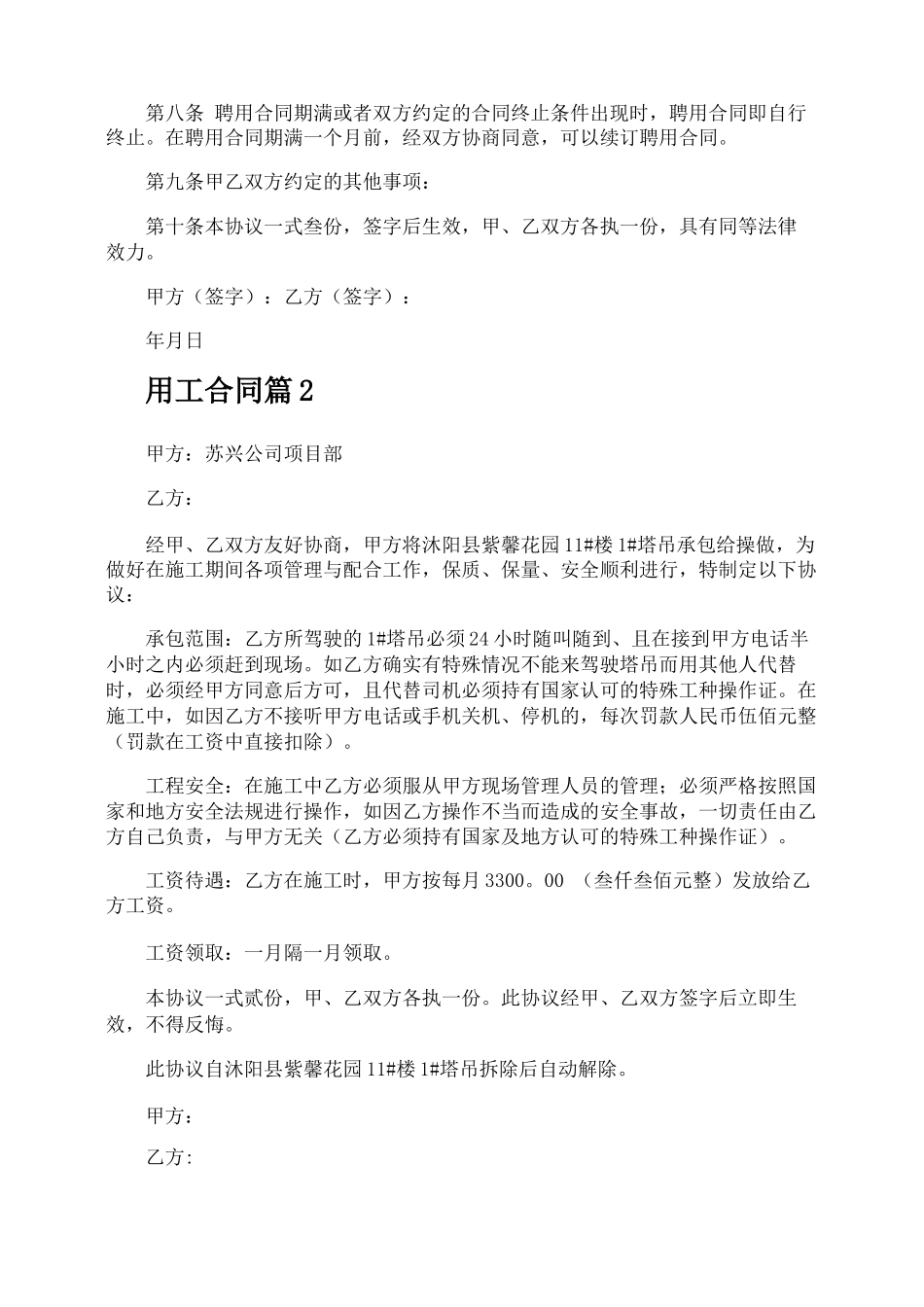 用工合同-专业文档!_第2页