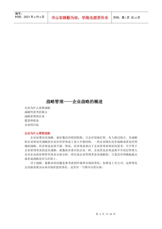 企业战略简要概述