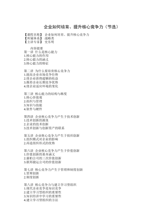 企业如何培育、提升核心竞争能力（DOC 13页）