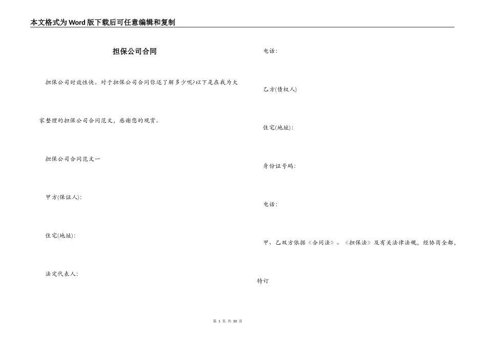 担保公司合同_第1页