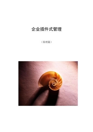 企业插件式管理手册制度