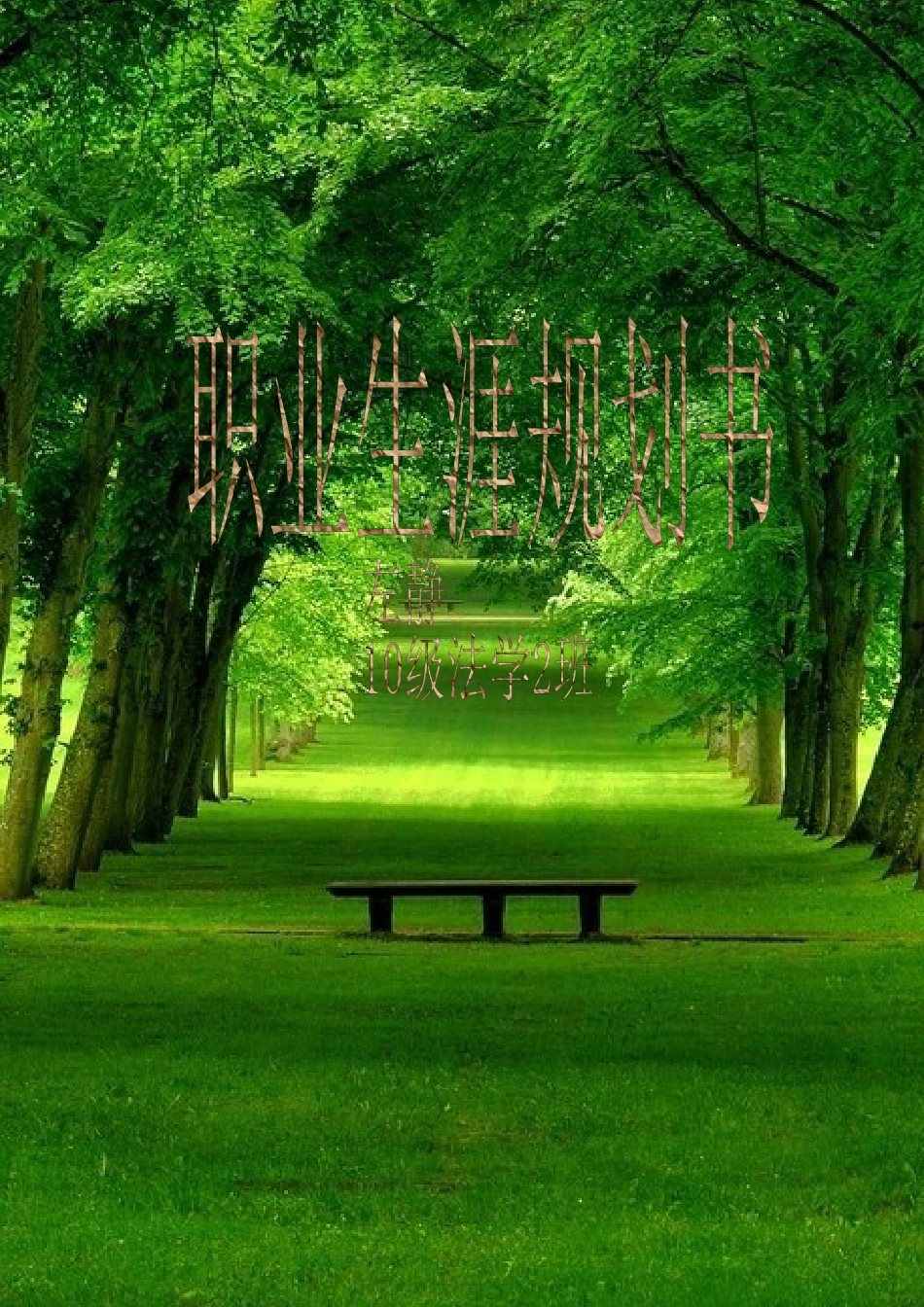 人生目标策划书_第1页