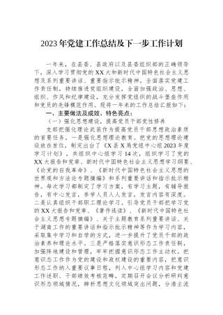 2023年党建工作总结及下一步工作计划