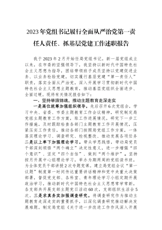 2023年党组书记履行全面从严治党第一责任人责任、抓基层党建工作述职报告