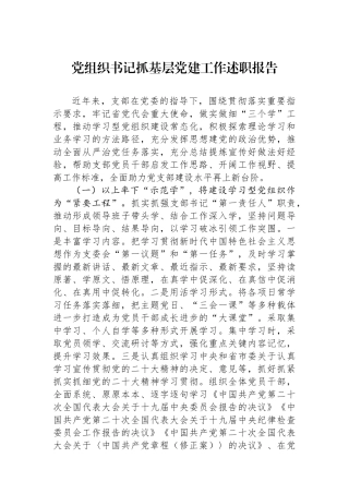 2023年党组织书记抓基层党建工作述职报告