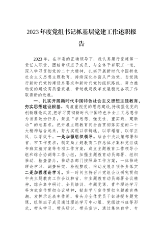 2023年度党组书记抓基层党建工作述职报告