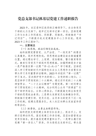 党总支部书记抓基层党建工作述职报告