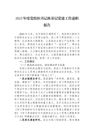 2023年度党组织书记抓基层党建工作述职报告