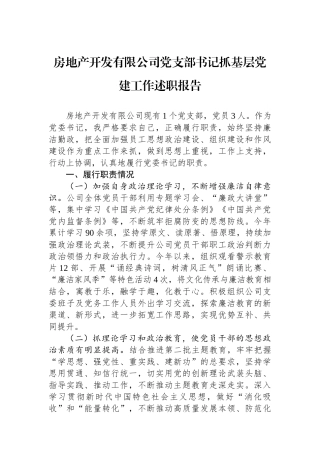 房地产开发有限公司党支部书记抓基层党建工作述职报告