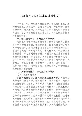 副市长2023年述职述廉报告