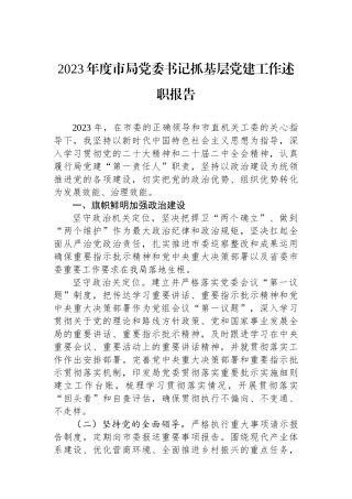 2023年度市局党委书记抓基层党建工作述职报告