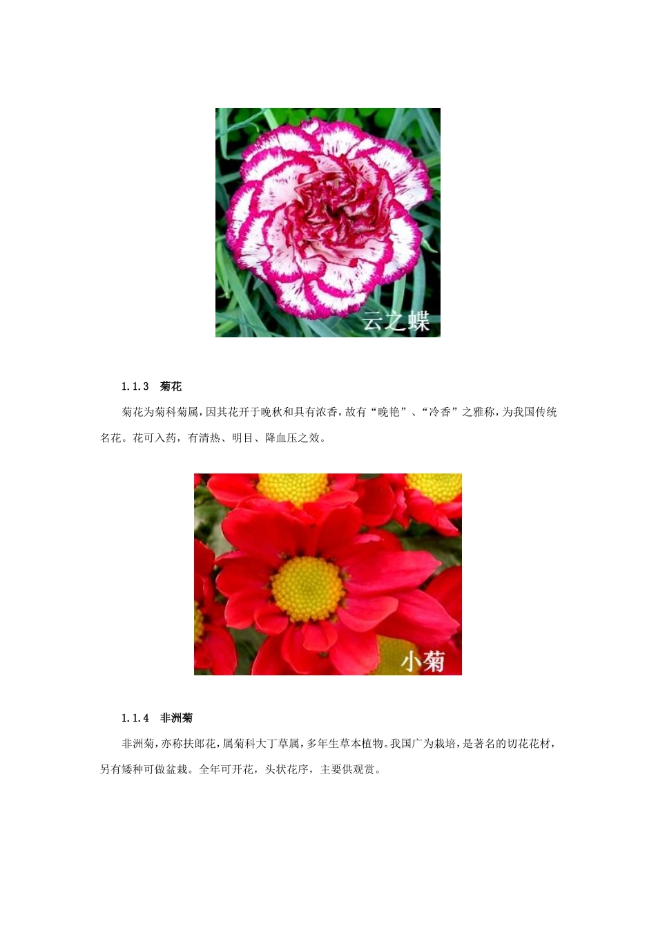 出口花卉技术指南_第2页