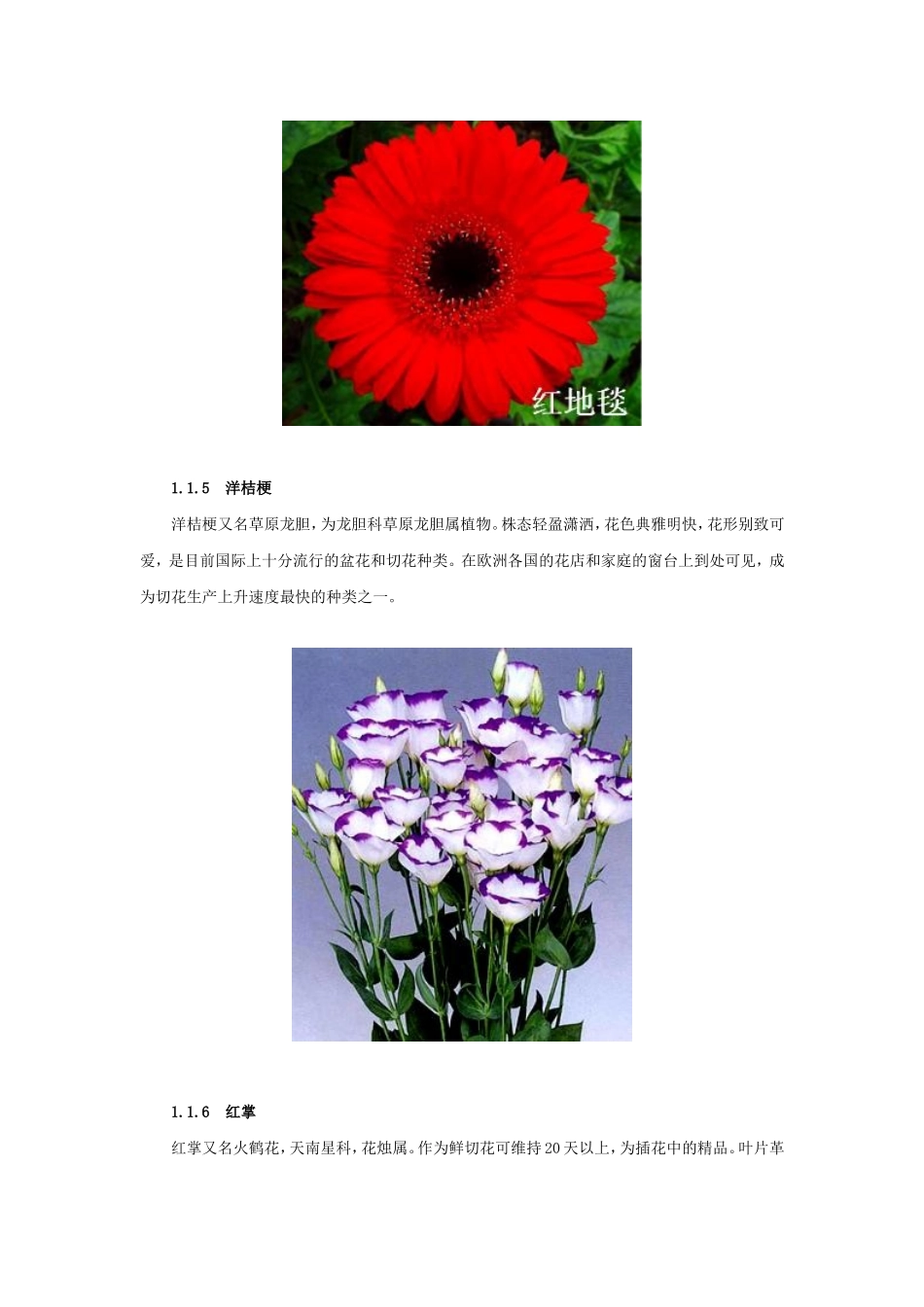 出口花卉技术指南_第3页