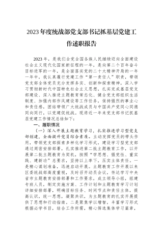 2023年度统战部党支部书记抓基层党建工作述职报告