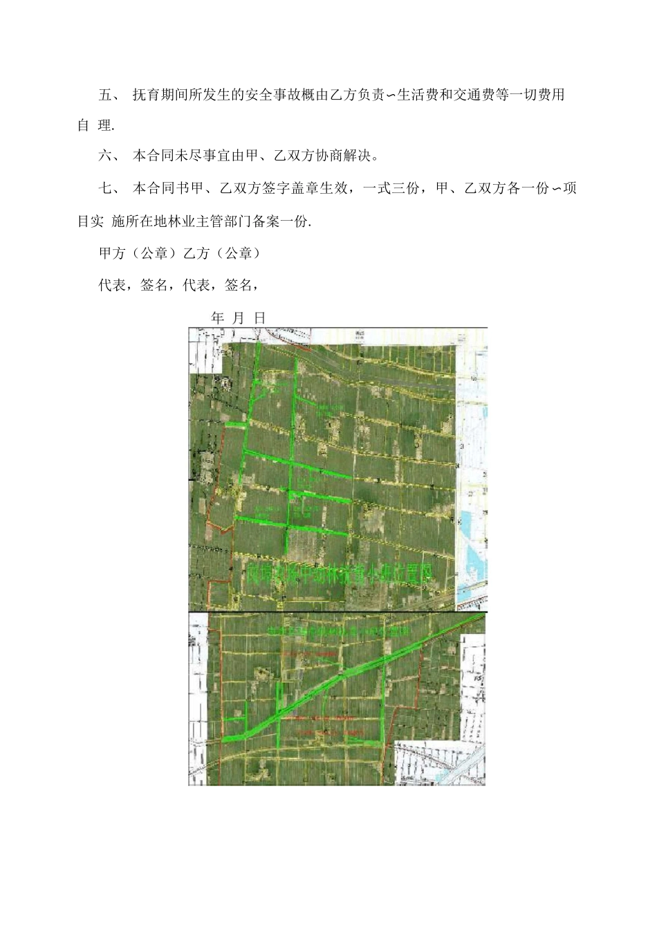 森林抚育合同_第3页