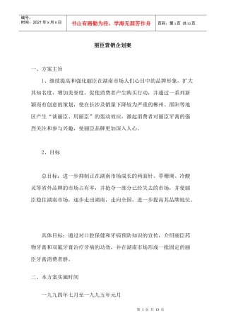 丽臣营销企划案（13P）