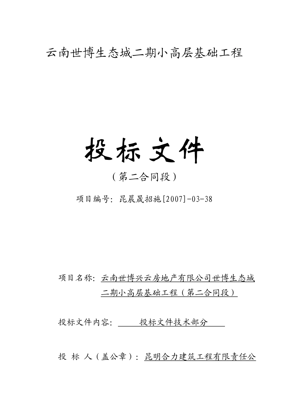 云南某生态城二期小高层基础工程投标书_第1页