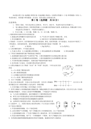 高中毕业班生物第二次生物质量检测
