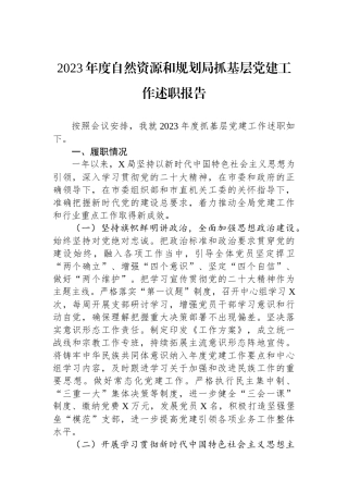 2023年度自然资源和规划局抓基层党建工作述职报告