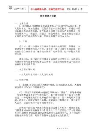 丽臣营销企划案