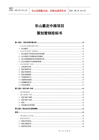 乐山项目投标书