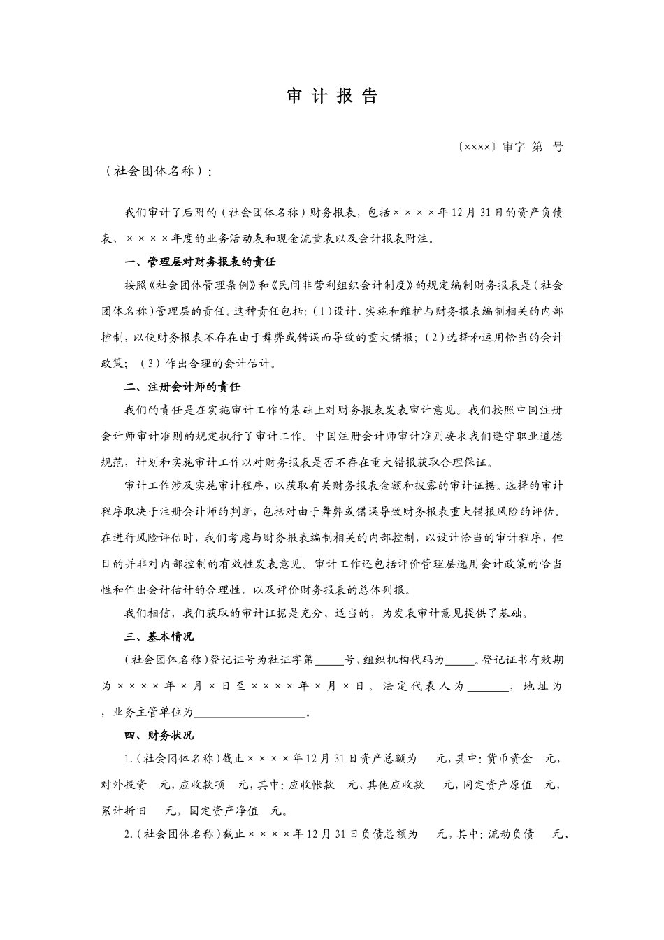 社会团体财务审计报告模板_第2页