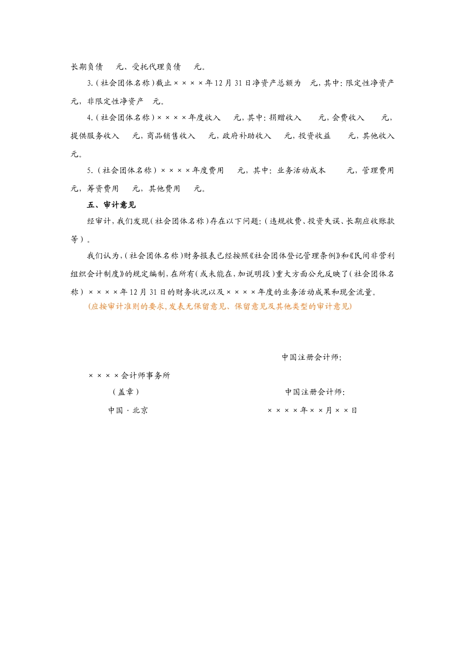 社会团体财务审计报告模板_第3页