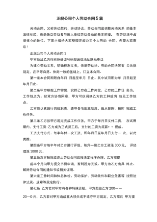 正规公司个人劳动合同5篇