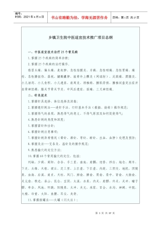 乡镇卫生院中医适宜技术推广项目